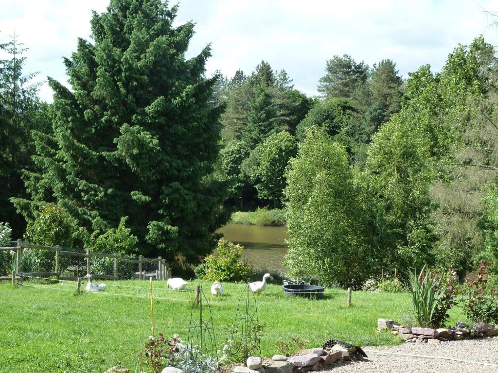 Chambres D'Hotes Logis De L'Etang De L'Aune Iffendic Exteriör bild